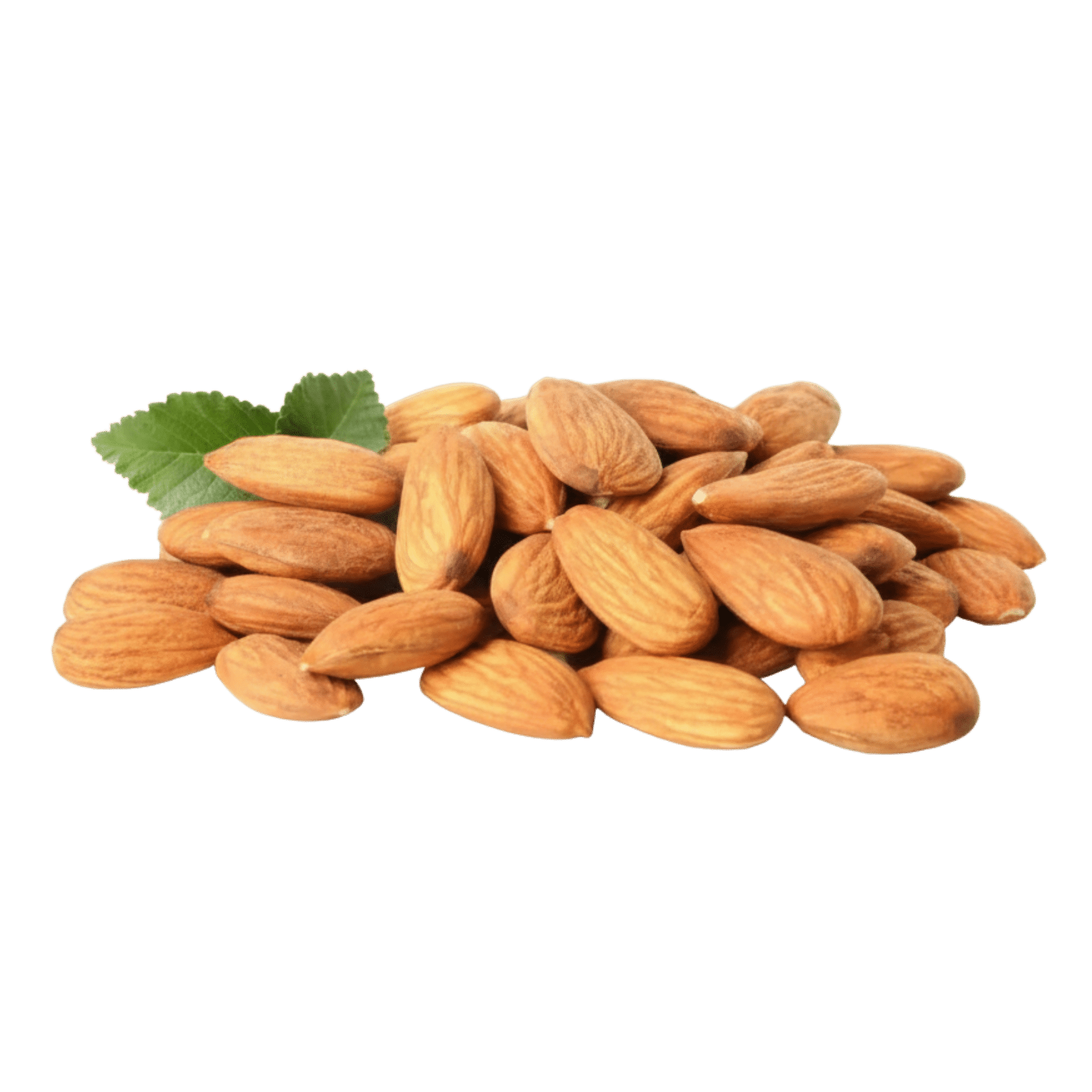 American Almond