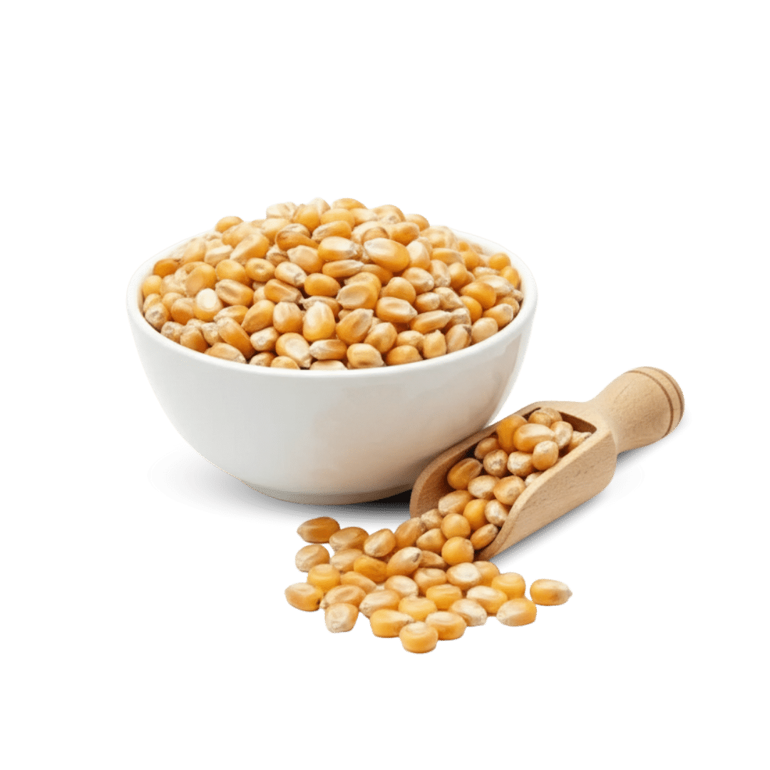 100% natural Kashmiri corn, rich in fiber, vitamins, and essential nutrients