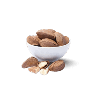Brazil Nuts – Fresh and Premium Quality with shell